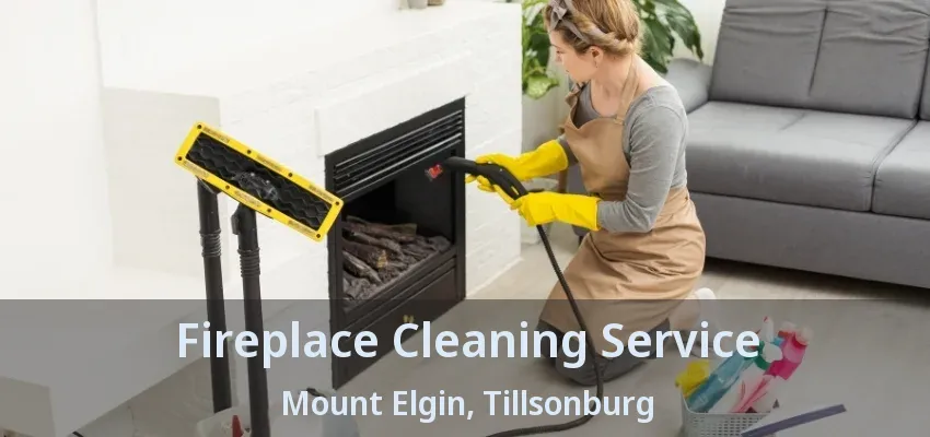 Fireplace Cleaning Service Mount Elgin, Tillsonburg - ON Fireplace Cleaning Service Mount Elgin, Tillsonburg - ON