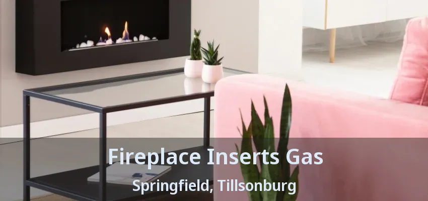 Fireplace Inserts Gas Springfield, Tillsonburg - ON Fireplace Inserts Gas Springfield, Tillsonburg - ON
