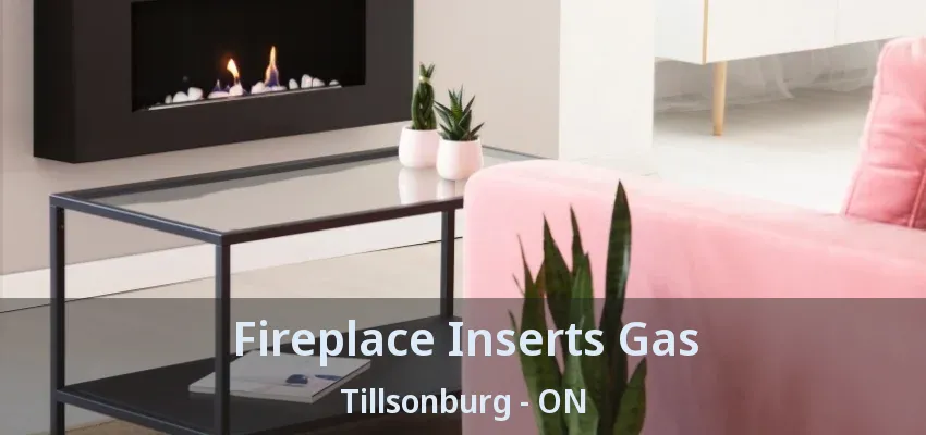 Fireplace Inserts Gas Tillsonburg - ON