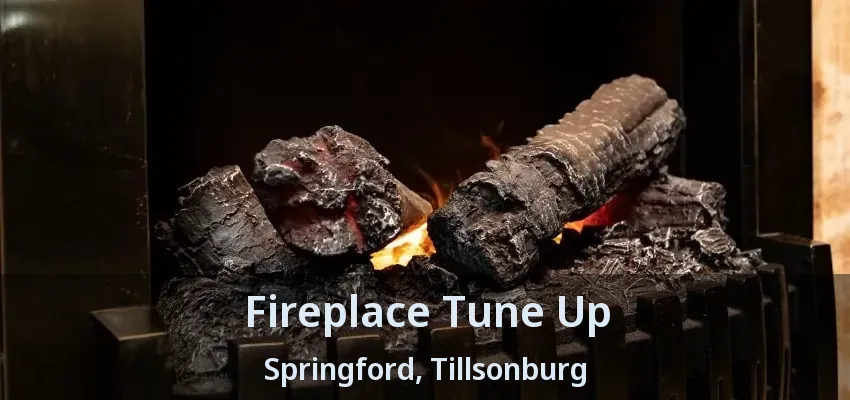 Fireplace Tune Up Springford, Tillsonburg - ON Fireplace Tune Up Springford, Tillsonburg - ON