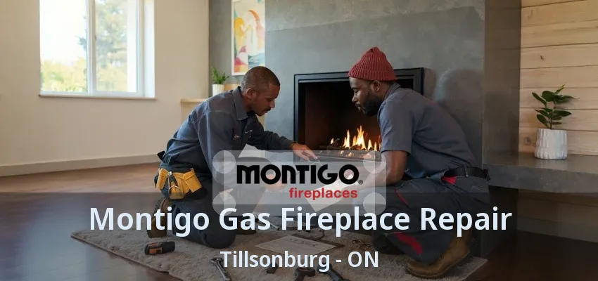 Montigo Gas Fireplace Repair Tillsonburg - ON Montigo Gas Fireplace Repair Tillsonburg - ON