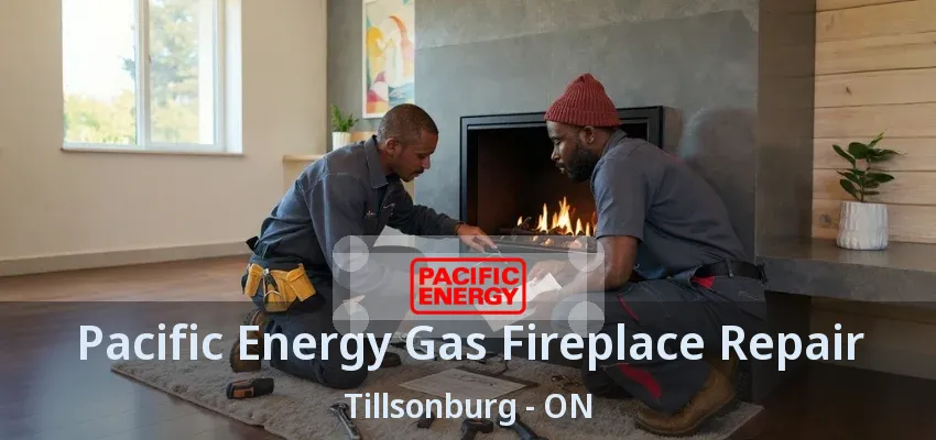 Pacific Energy Gas Fireplace Repair Tillsonburg - ON Pacific Energy Gas Fireplace Repair Tillsonburg - ON