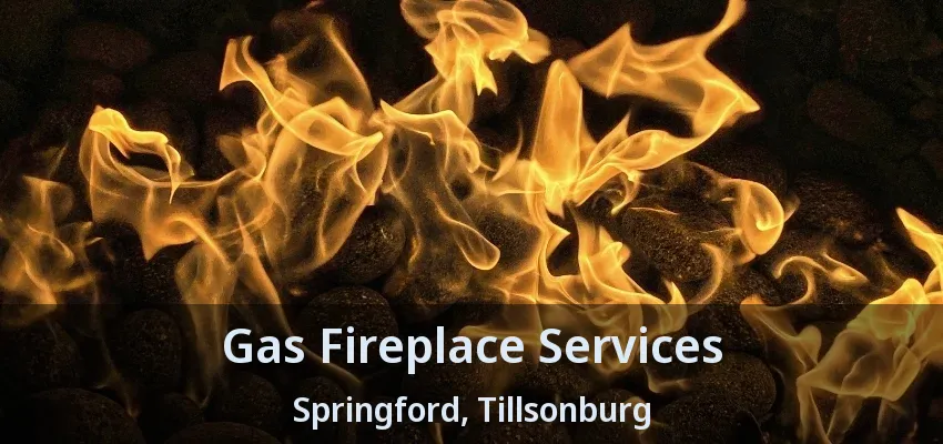 Gas Fireplace Services Springford, Tillsonburg - ON