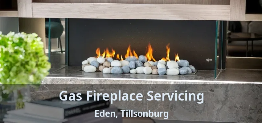 Gas Fireplace Servicing Eden, Tillsonburg - ON Gas Fireplace Servicing Eden, Tillsonburg - ON