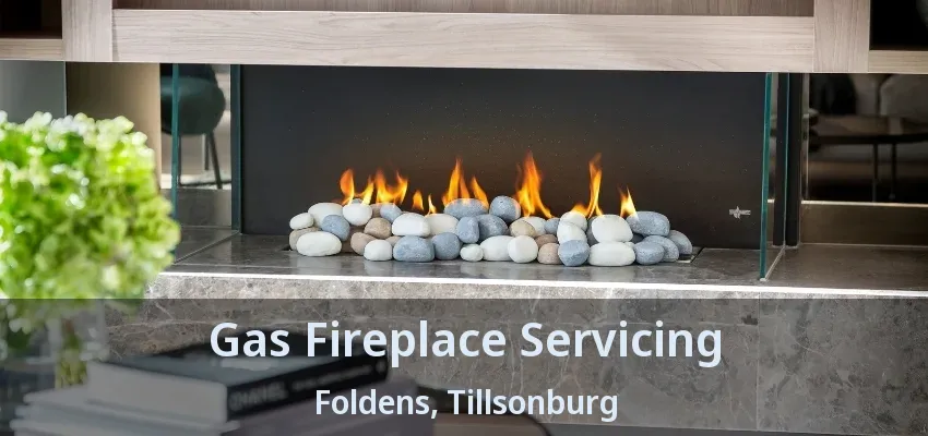 Gas Fireplace Servicing Foldens, Tillsonburg - ON