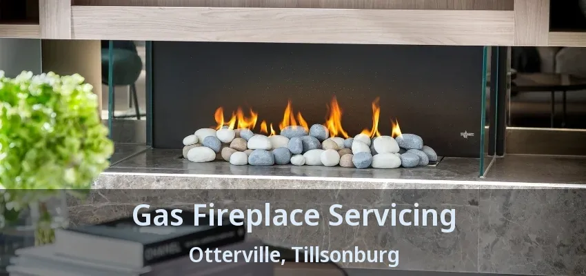 Gas Fireplace Servicing Otterville, Tillsonburg - ON