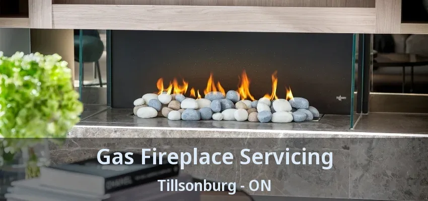 Gas Fireplace Servicing Tillsonburg - ON Gas Fireplace Servicing Tillsonburg - ON
