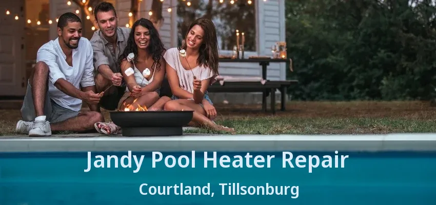 Jandy Pool Heater Repair Courtland, Tillsonburg - ON