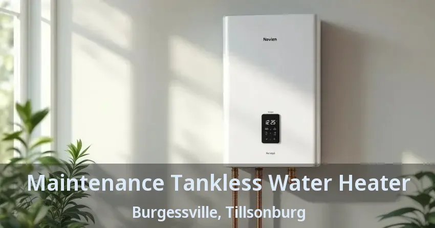 Maintenance Tankless Water Heater Burgessville, Tillsonburg - ON