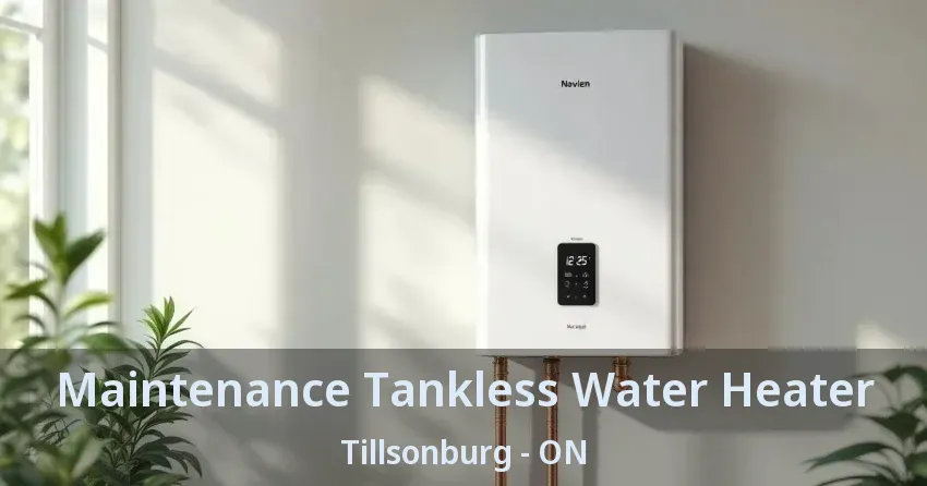 Maintenance Tankless Water Heater Tillsonburg - ON
