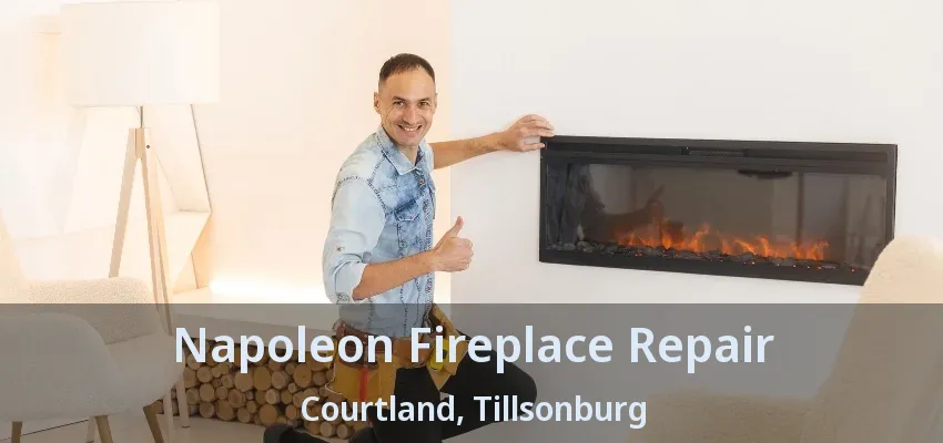 Napoleon Fireplace Repair Courtland, Tillsonburg - ON Napoleon Fireplace Repair Courtland, Tillsonburg - ON