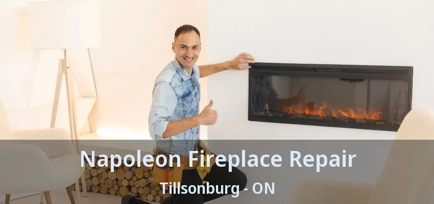 Napoleon Fireplace Repair Tillsonburg - ON