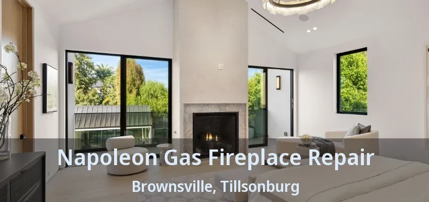 Napoleon Gas Fireplace Repair Brownsville, Tillsonburg - ON Napoleon Gas Fireplace Repair Brownsville, Tillsonburg - ON