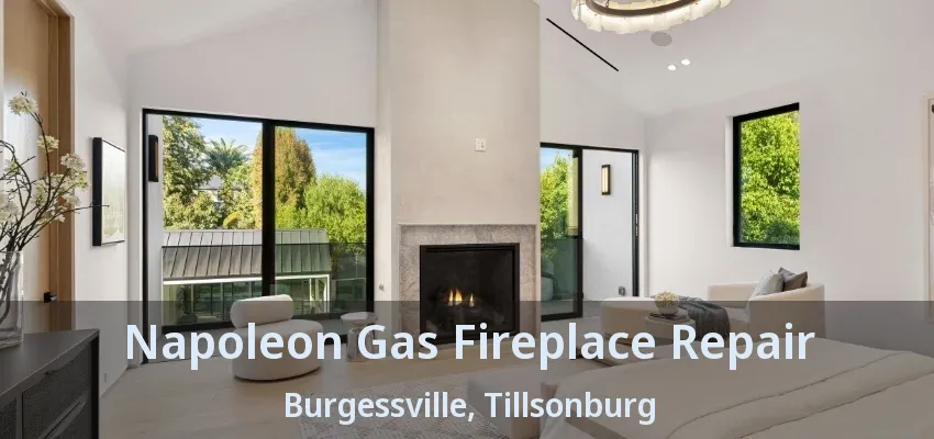 Napoleon Gas Fireplace Repair Burgessville, Tillsonburg - ON Napoleon Gas Fireplace Repair Burgessville, Tillsonburg - ON