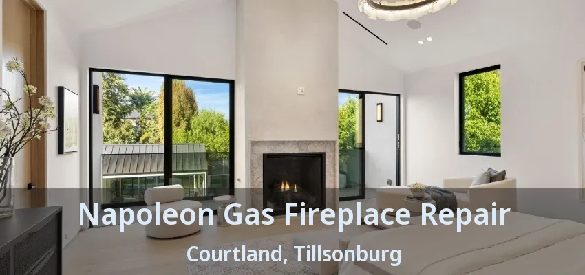 Napoleon Gas Fireplace Repair Courtland, Tillsonburg - ON Napoleon Gas Fireplace Repair Courtland, Tillsonburg - ON