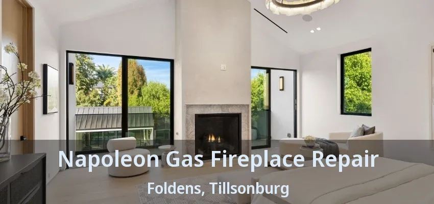 Napoleon Gas Fireplace Repair Foldens, Tillsonburg - ON Napoleon Gas Fireplace Repair Foldens, Tillsonburg - ON