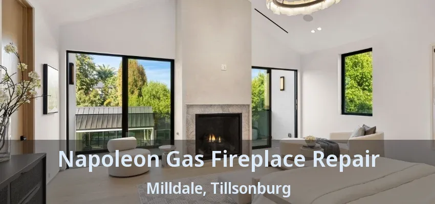 Napoleon Gas Fireplace Repair Milldale, Tillsonburg - ON
