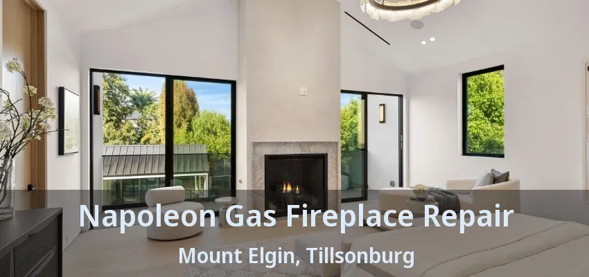 Napoleon Gas Fireplace Repair Mount Elgin, Tillsonburg - ON Napoleon Gas Fireplace Repair Mount Elgin, Tillsonburg - ON
