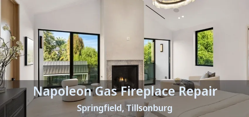 Napoleon Gas Fireplace Repair Springfield, Tillsonburg - ON