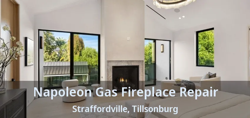 Napoleon Gas Fireplace Repair Straffordville, Tillsonburg - ON Napoleon Gas Fireplace Repair Straffordville, Tillsonburg - ON