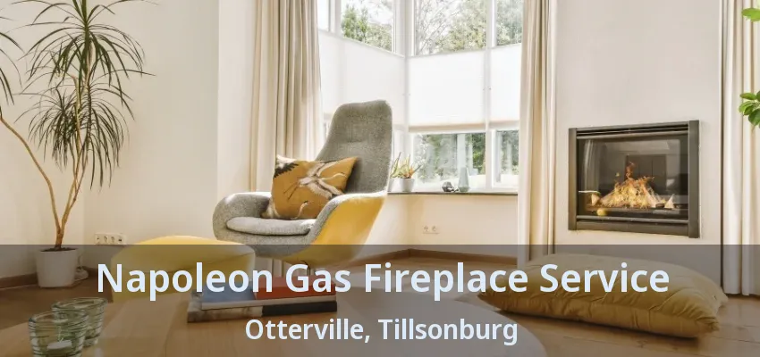 Napoleon Gas Fireplace Service Otterville, Tillsonburg - ON