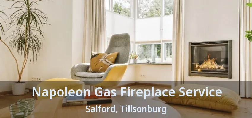Napoleon Gas Fireplace Service Salford, Tillsonburg - ON Napoleon Gas Fireplace Service Salford, Tillsonburg - ON