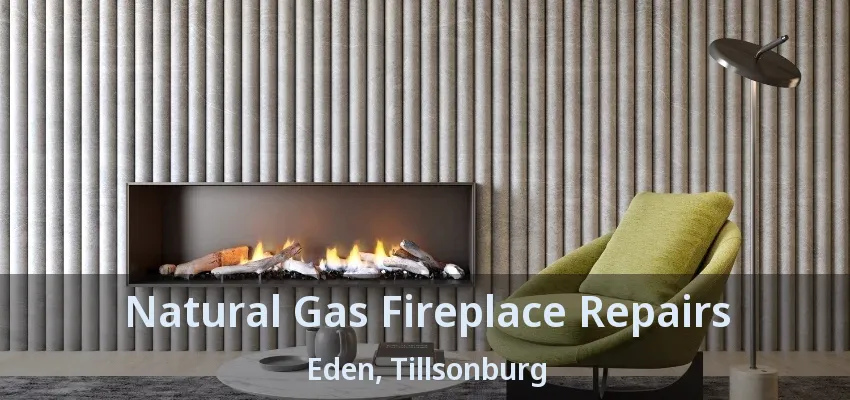 Natural Gas Fireplace Repairs Eden, Tillsonburg - ON