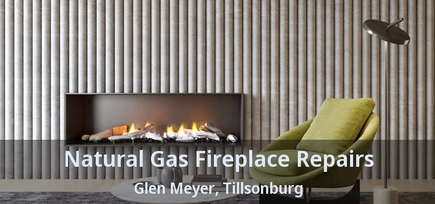 Natural Gas Fireplace Repairs Glen Meyer, Tillsonburg - ON Natural Gas Fireplace Repairs Glen Meyer, Tillsonburg - ON