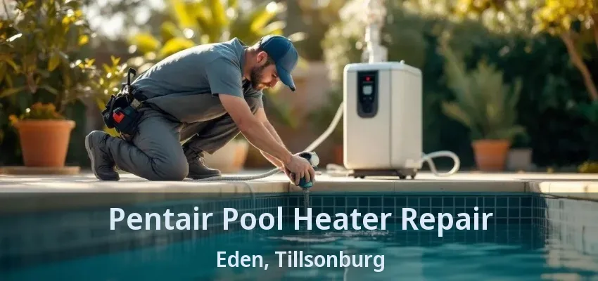 Pentair Pool Heater Repair Eden, Tillsonburg - ON