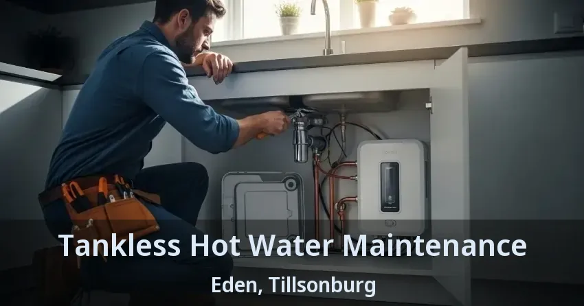 Tankless Hot Water Maintenance Eden, Tillsonburg - ON