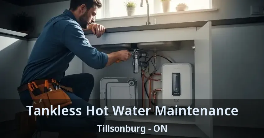 Tankless Hot Water Maintenance Tillsonburg - ON