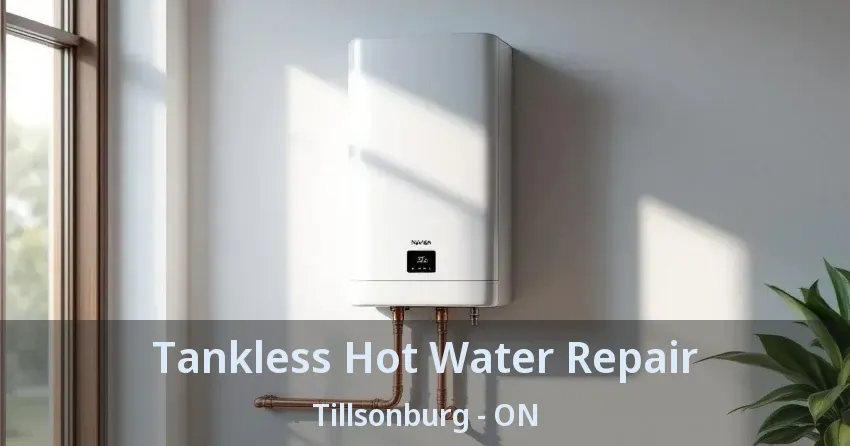 Tankless Hot Water Repair Tillsonburg - ON Tankless Hot Water Repair Tillsonburg - ON
