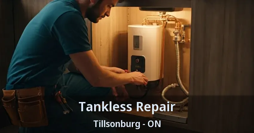 Tankless Repair Tillsonburg - ON