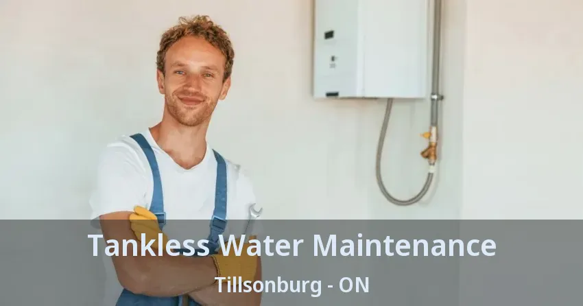 Tankless Water Maintenance Tillsonburg - ON Tankless Water Maintenance Tillsonburg - ON