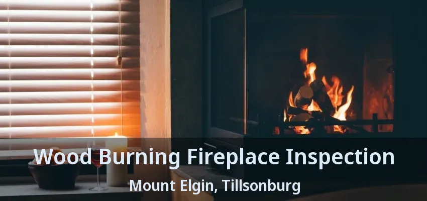 Wood Burning Fireplace Inspection Mount Elgin, Tillsonburg - ON