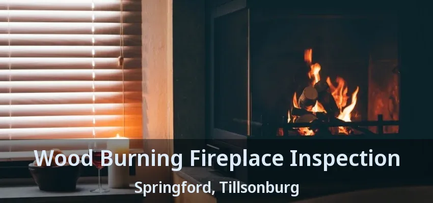 Wood Burning Fireplace Inspection Springford, Tillsonburg - ON Wood Burning Fireplace Inspection Springford, Tillsonburg - ON